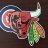 BearsCubsBulls